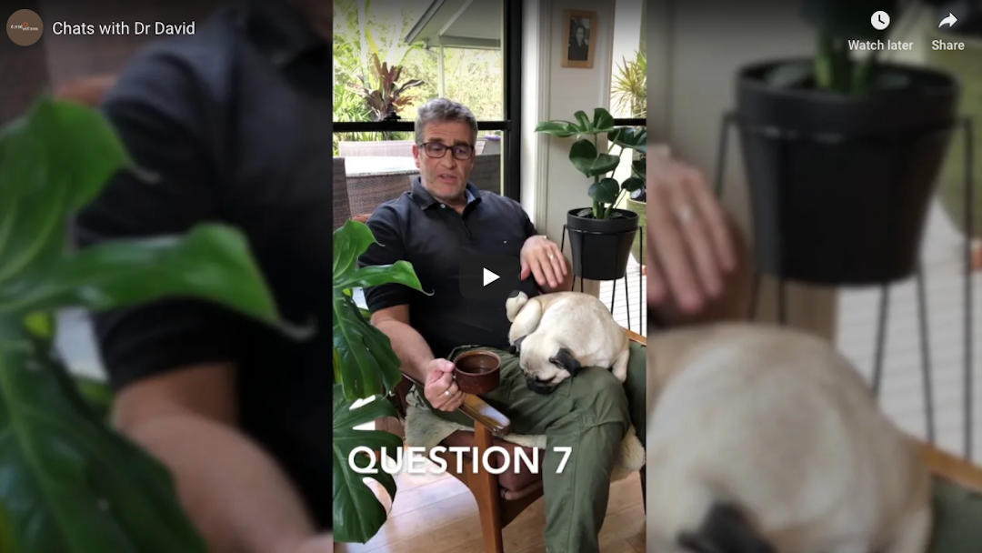 Chats With Dr David & Holistic Pug