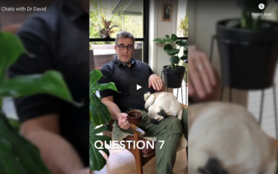 Chats With Dr David & Holistic Pug