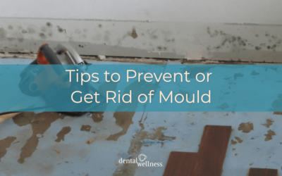 Tips to Prevent or Get Rid of Mould