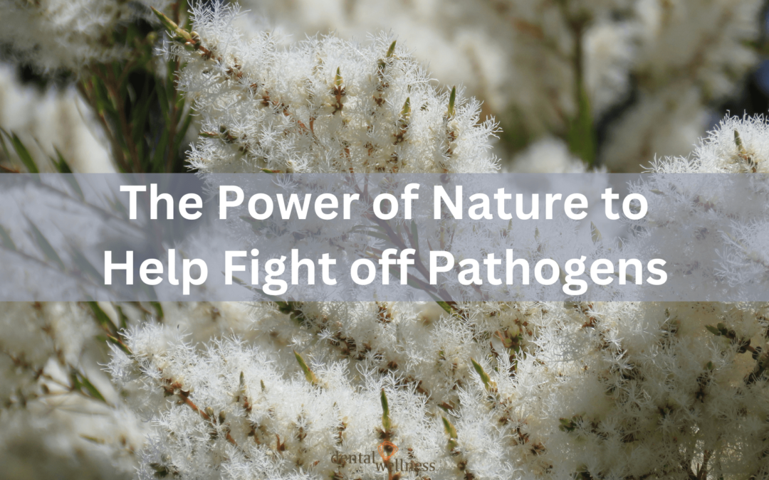 The Power of Nature to Help Fight off Pathogens